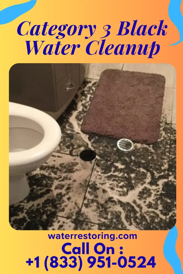 Category 3 Black Water Cleanup in Mount Pleasant, IA
